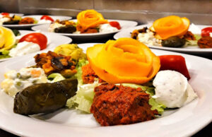 Tekne CNG - Görsel 24