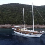 M/S Odyssey 25 MT