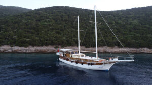 M/S Odyssey 25 MT